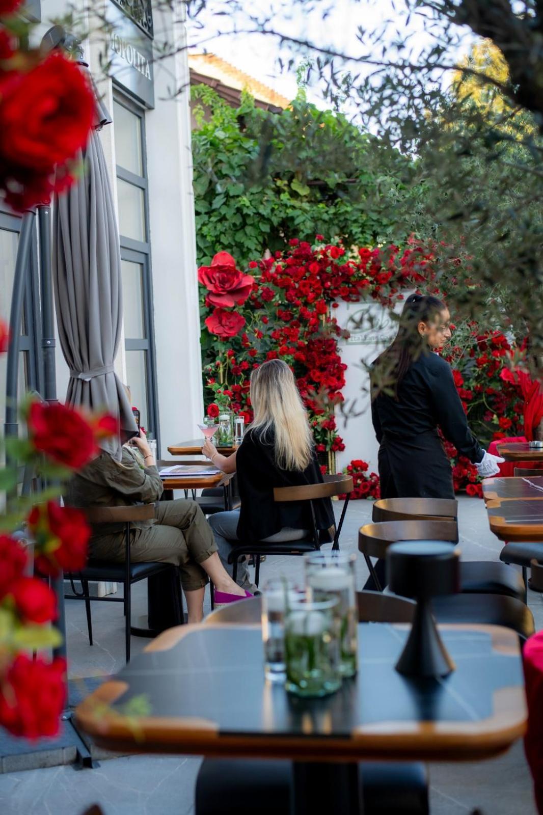 Cosmopolita Boutique Hotel Timişoara Extérieur photo